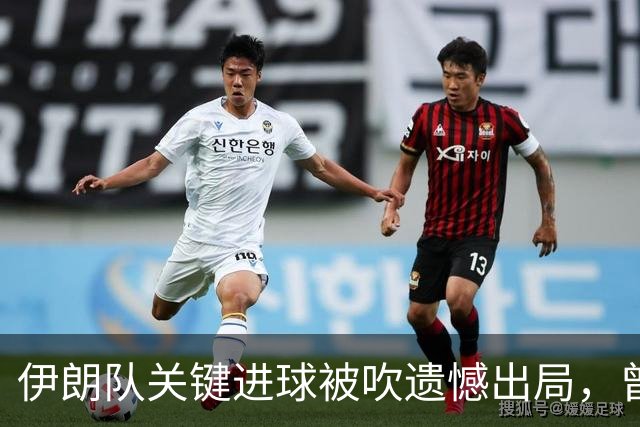 伊朗队关键进球被吹遗憾出局，曾任教哈佛大学的伊朗学者向FIFA索赔10亿美元