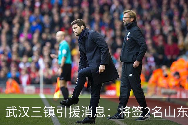 武汉三镇引援消息：将签2名山东泰山国脚内援